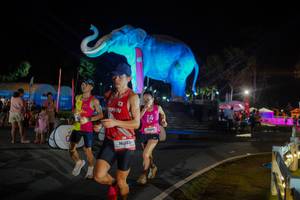 BIB: 
                            <button type="button" onclick="openModal(26552370)" class="btn btn-primary btn-sm float-right btn-popup" data-toggle="modal" data-target=".modal-high-quality">
                        <i class="fas fa-shopping-cart"></i> Add to Cart
                    </button>
                                            <button type="button" onclick="isThisMe(26552370, true)" class="btn btn-success btn-sm float-right btn-popup btn-isme hidden" data-toggle="tooltip" data-placement="bottom" title="นี่คือรูปของคุณใช่ไหม คลิกที่นี่เพื่อเอาเข้าอัลบั้ม">
                        <i class="fas fa-plus"></i> Add to album
                    </button>
                    <button type="button" onclick="isThisMe(26552370, false)" class="btn btn-warning btn-sm float-right btn-popup btn-isnotme hidden">
                        <i class="fas fa-ban"></i> Remove from album
                    </button>